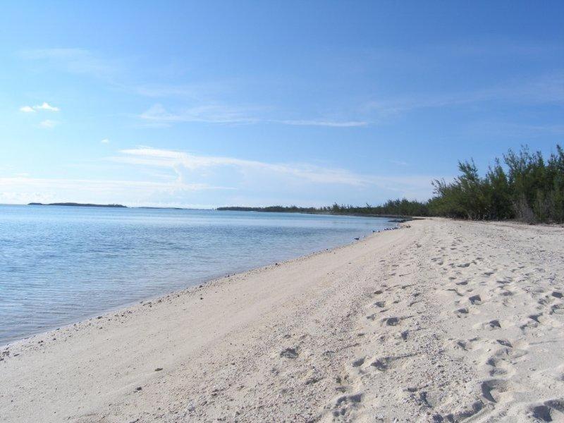 Caribbean Sandcastle Home James Cistern Eksteriør bilde