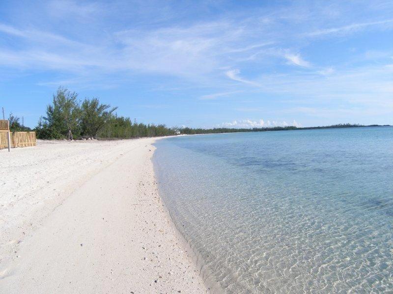Caribbean Sandcastle Home James Cistern Eksteriør bilde